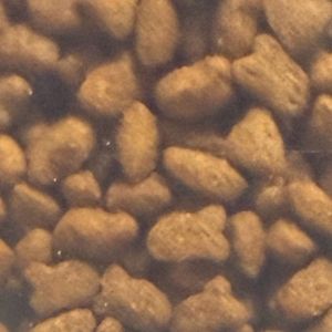 imagem do produto Fãmil gatos castrados