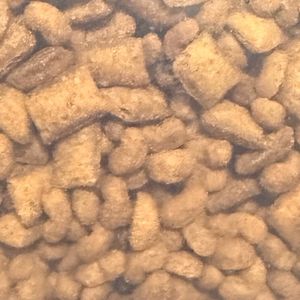 imagem do produto Brain Plus gatos filhotes