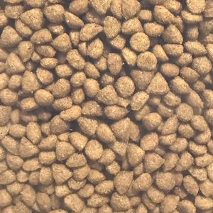 imagem do produto Fãmil gatos filhotes