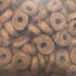 imagem do produto Frost sênior