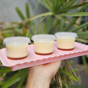 imagem do produto Pudim 145ml