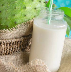 imagem do produto Suco de graviola