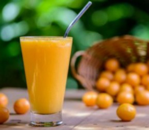 imagem do produto Suco de Taperebá
