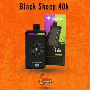 imagem do produto Black sheep 40k