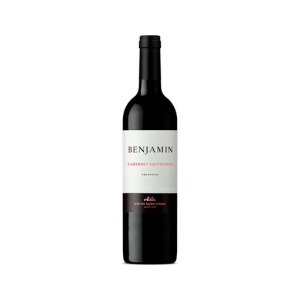 imagem do produto Vinho Argentino Benjamin Nieto Cabernet Sauvignon 750ml