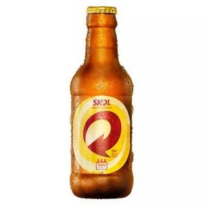imagem do produto Skol 300ml