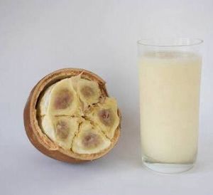 imagem do produto Suco de cupuaçu