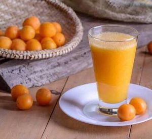 imagem do produto Suco de Taperebá