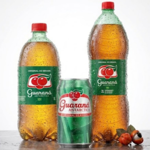 imagem do produto Antárctica