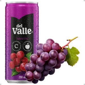 imagem do produto Del Valle - Lata 290Ml