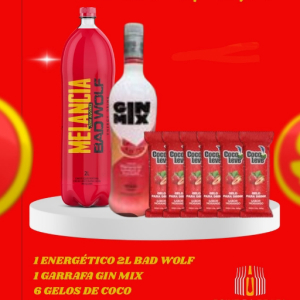 imagem do produto Gin mix 1L ( melancia)