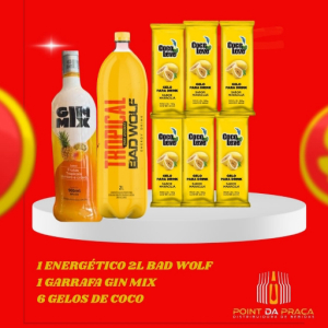 imagem do produto Gin mix 1L ( tropical)