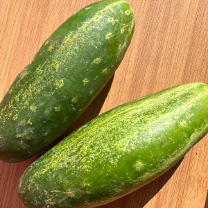 imagem do produto Pepino Caipira