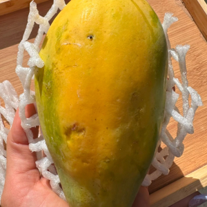 imagem do produto Mamão Papaia