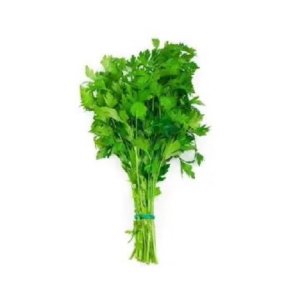 imagem do produto SALSA