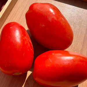 imagem do produto Tomate Italiano