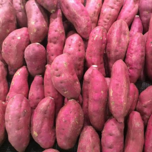 imagem do produto Batata Doce