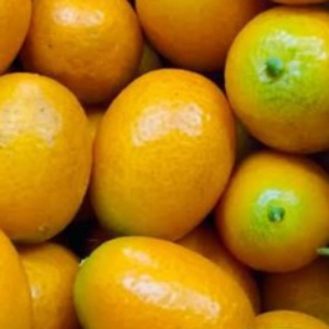 imagem do produto Laranja Serra D'água