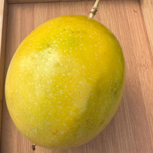 imagem do produto Maracujá