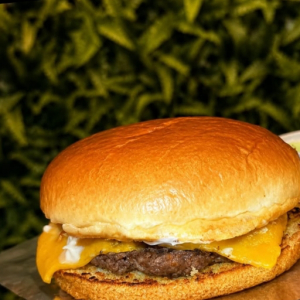 imagem do produto X - Burguer