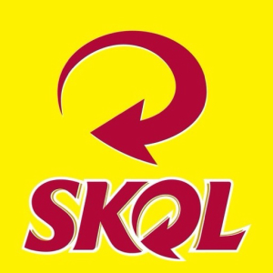 imagem do produto Skol 600ML