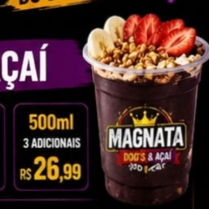 imagem do produto Açai 300ml