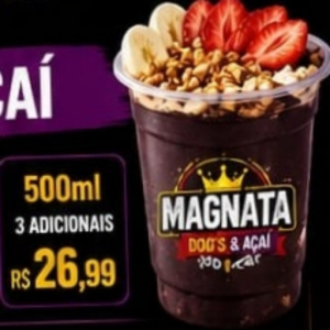 imagem do produto Açai 500ml