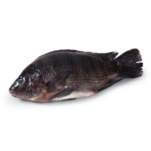 imagem do produto Peixe Tilápia