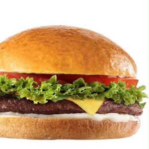 imagem do produto X- simples