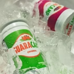 imagem do produto Guaracamp Açai