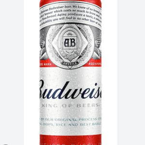 imagem do produto budweiser 269 ml
