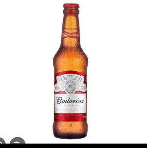 imagem do produto budwerser 330 ml