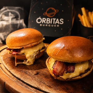 imagem do produto Terra Burguer