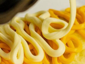 imagem do produto Delicioso Catupiry