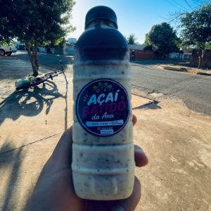 imagem do produto batido da Ana de maracujá 500ml