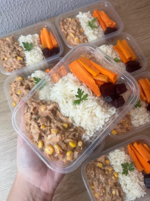imagem do produto Strogonoff de Frango, Arroz e Legumes - 300g