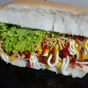 imagem do produto Dog especial 