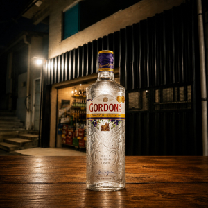 imagem do produto GIN GORDON