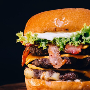 imagem do produto Aylla Burguer