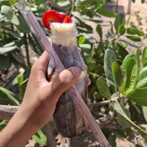 imagem do produto AÇAI TRADICIONAL MORANGO