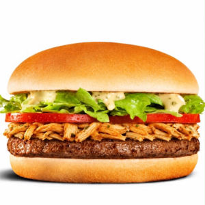 imagem do produto X-frango