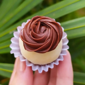 imagem do produto Ninho com chocolate 