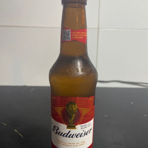 imagem do produto Budweiser