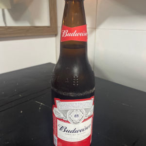 imagem do produto Budweiser(600ml)