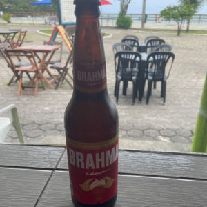 imagem do produto Brahma(600ml)