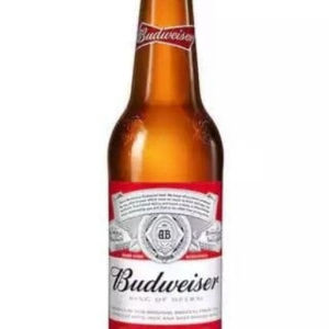 imagem do produto Budweiser 600 ml