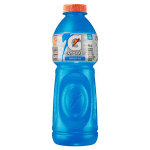 imagem do produto Gatorade