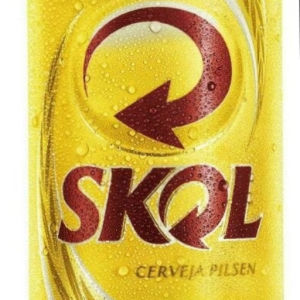 imagem do produto Skol lata
