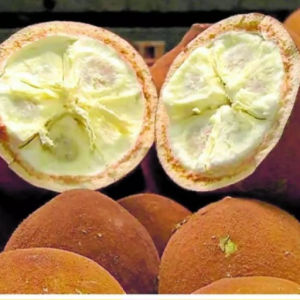imagem do produto Cupuaçu 