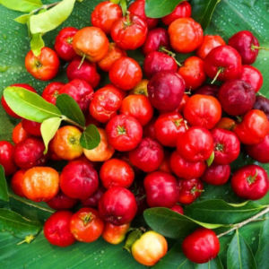 imagem do produto Acerola